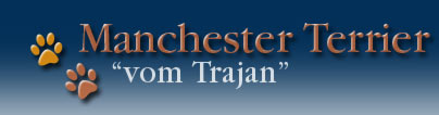 Manchester Terrier 'vom Trajan'